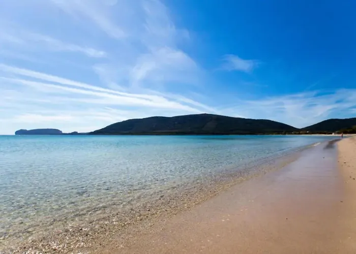 Apartment New Flat For 6 Guests Near